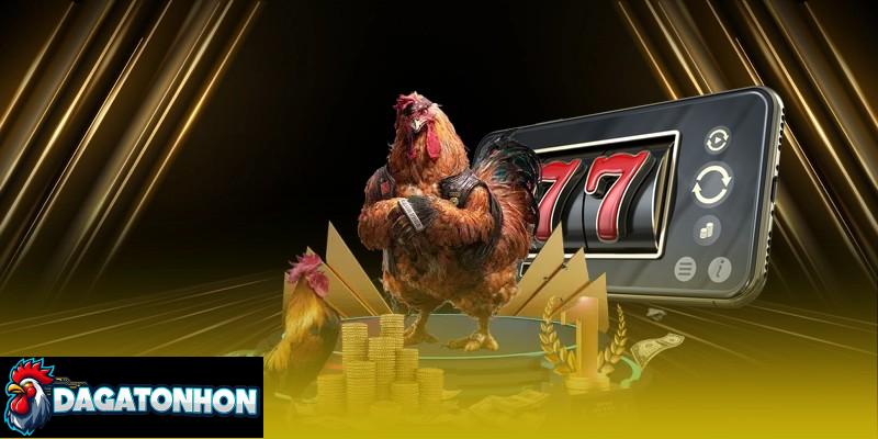 Bảng xếp hạng gà chiến mạnh nhất Tonhon dựa trên tiêu chí rõ ràng