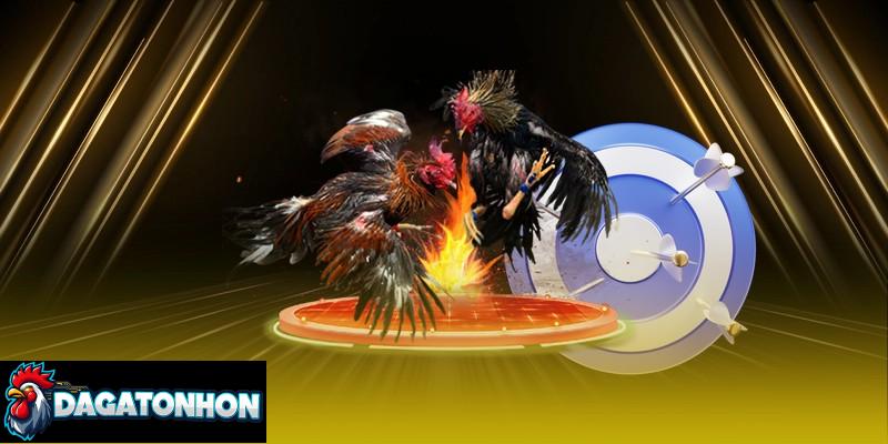 bảng xếp hạng gà chiến mạnh nhất Tonhon