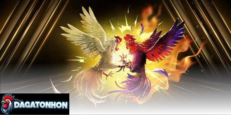 Bí ẩn những chiến kê triệu đô tại Tonhon thu hút người xem