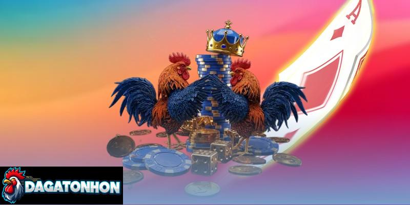 Bí Quyết Nhận Biết Gà Tonhon Có Tiềm Năng