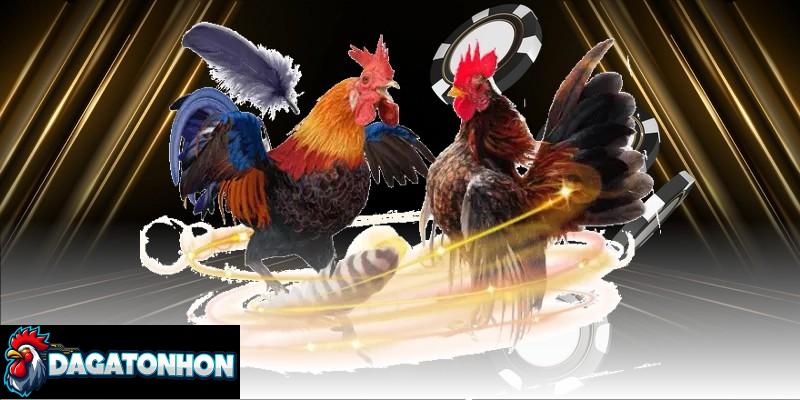 Biết cách đánh giá thể lực và dáng đứng trước trận