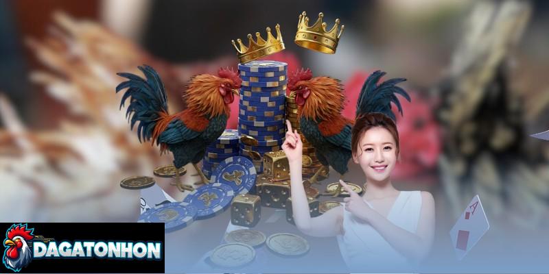 Cách luyện thể lực gà Tonhon