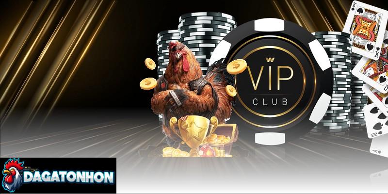 Chiến kê Ruby Flame – Ngôi sao dẫn đầu các bảng XH đầu năm