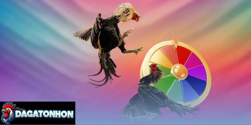 Chơi đá gà Tonhon tham khảo quy tắc phân thắng thua