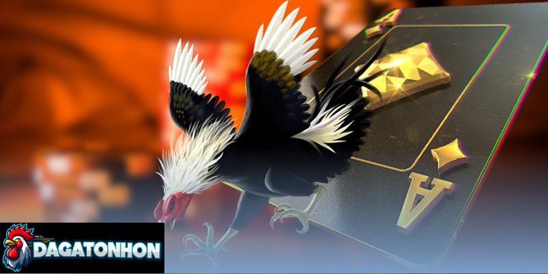 Cộng đồng đá gà Tonhon sôi động, nhiều thông tin hữu ích