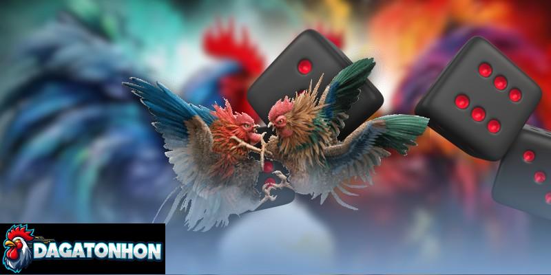 Hiểu rõ các khái niệm giúp kê thủ chơi đá gà hiệu quả