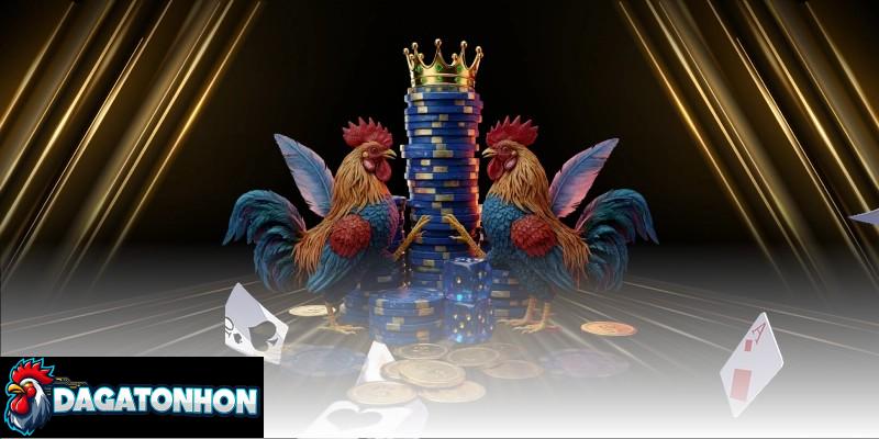 Hiểu rõ nguyên nhân để biết cách huấn luyện gà Tonhon không bị chấn thương