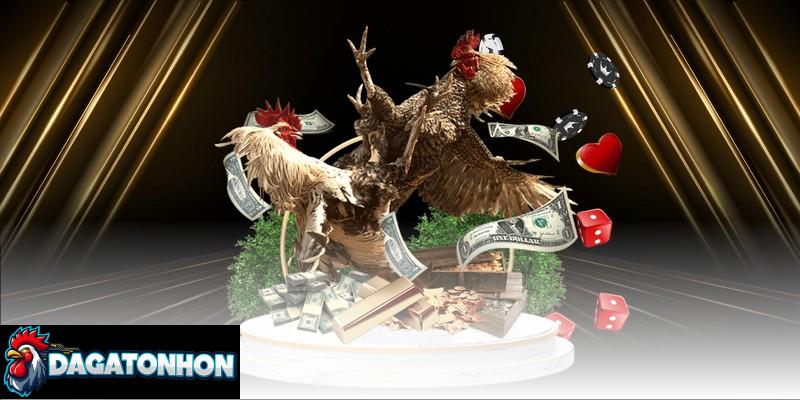 Hiểu rõ yếu tố ảnh hưởng phong độ chiến kê khi ra sân