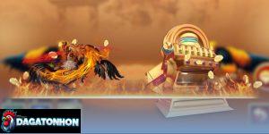 Hướng dẫn đọc kèo đá gà Tonhon