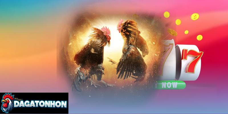 Kiểm tra đường truyền đảm bảo độ ổn định để xem live