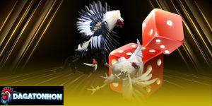 Kinh nghiệm thắng cược đá gà Tonhon