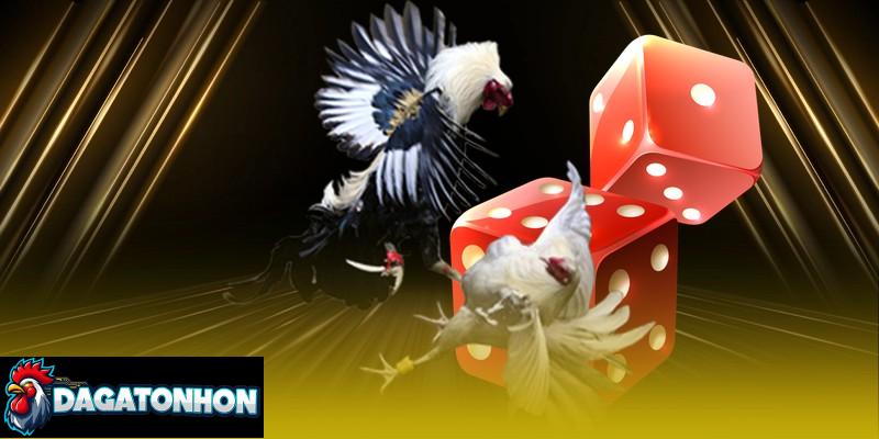 Kinh nghiệm thắng cược đá gà Tonhon