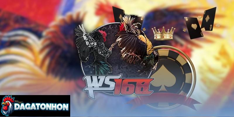 Lịch thi đấu đá gà Tonhon chi tiết, đầy đủ hằng ngày