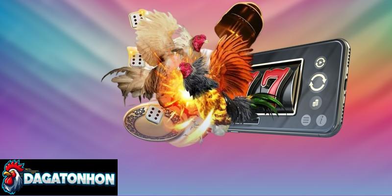 Link Xem Đá Gà Tonhon Không Bị Chặn