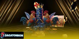 lưu ý khi cá cược đá gà Tonhon qua mạng