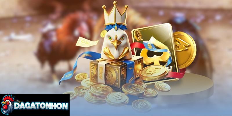 Mắt sáng, thần thái tỉnh táo dấu hiệu nhận biết chiến kê tốt