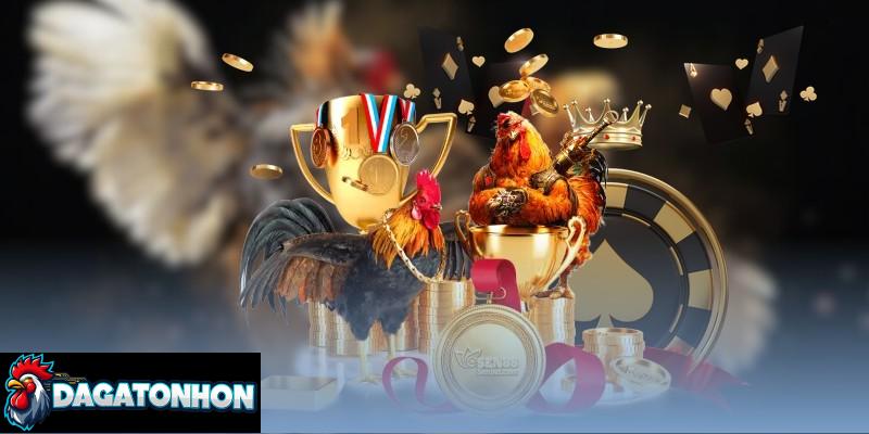 Mẹo chọn cửa thắng khi soi đá gà Tonhon hữu ích nhất