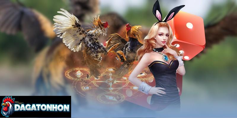 Mẹo chọn cửa thắng khi soi đá gà Tonhon