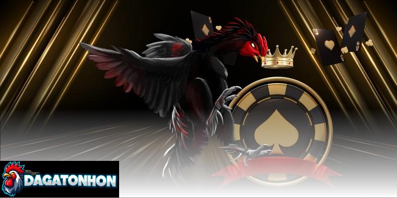 Phân tích phong độ chiến kê Tonhon để vào kèo sáng cửa