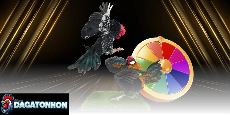 phân tích phong độ chiến kê Tonhon