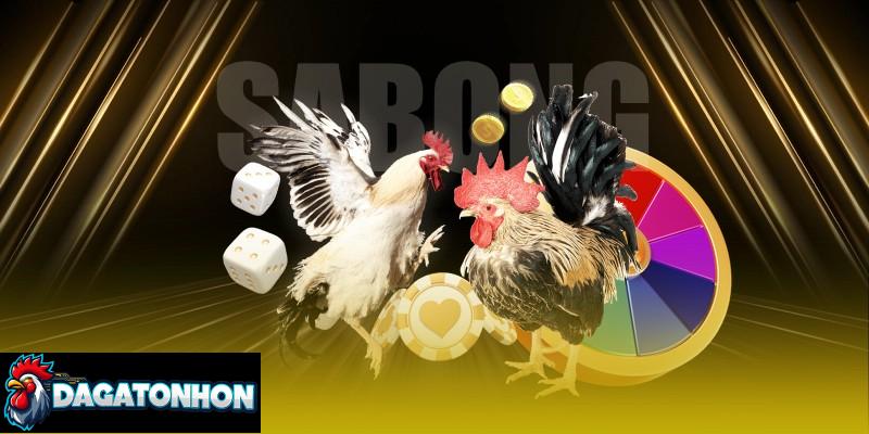 Quản lý ngân sách cũng quan trọng khi chơi đá gà Tonhon