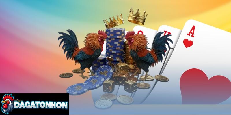 Quan sắt sẽ biết gà có đòn chân sắc, lực đá mạnh