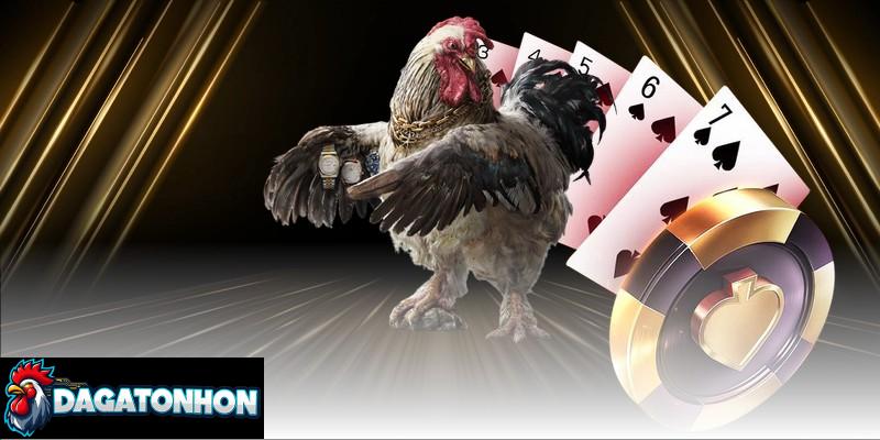 Quan sát, xem kỹ chiến kê trong 30 giây đầu trận