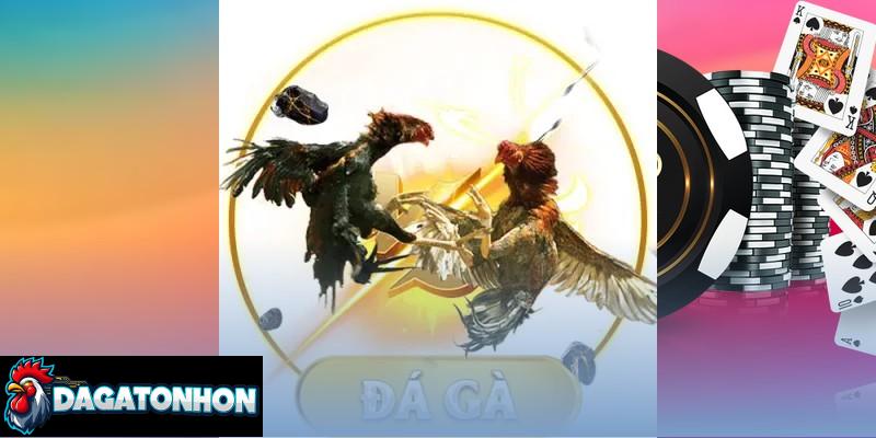 Quy định sức khỏe, thể trạng chiến kê rõ ràng, minh bạch