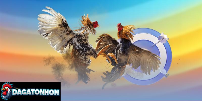 Quy định trọng tài đá gà Tonhon đảm bảo môi trường công bằng