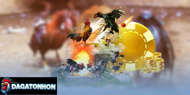 Quy tắc đảm bảo tính minh bạch, công bằng của sới gà