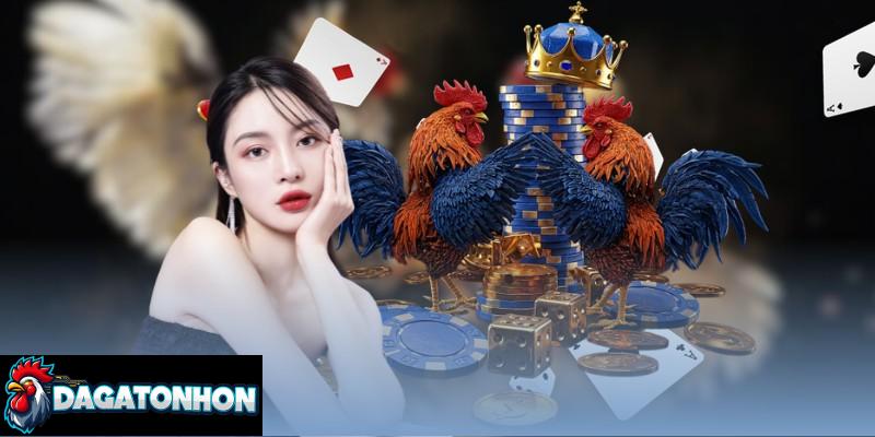 Tắm nắng bí quyết giúp chiến kê khỏe, khung xương cứng cáp