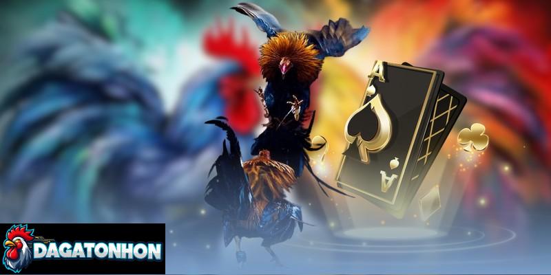 Theo dõi lịch thi đấu đá gà Tonhon nhanh chóng, tiện lợi