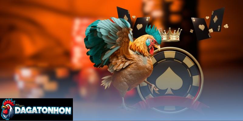 Thời gian hiệp đấu đá gà phụ thuộc chiến kê, loại cựa