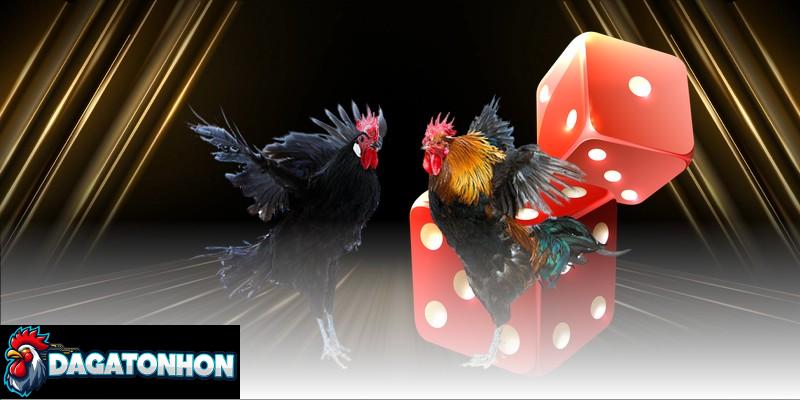 Titan Red – Chiến kê đến từ lò Matsa gây tiếng vang lớn