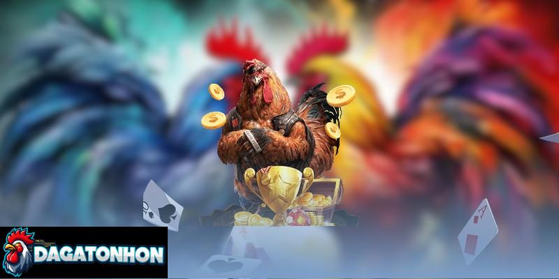 Tránh sai lầm để chọn gà chiến đúng đắn, tăng cơ hội thắng